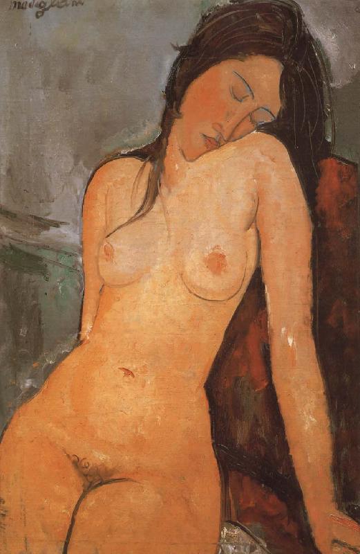Amedeo Modigliani Seated Nude Sweden oil painting art
